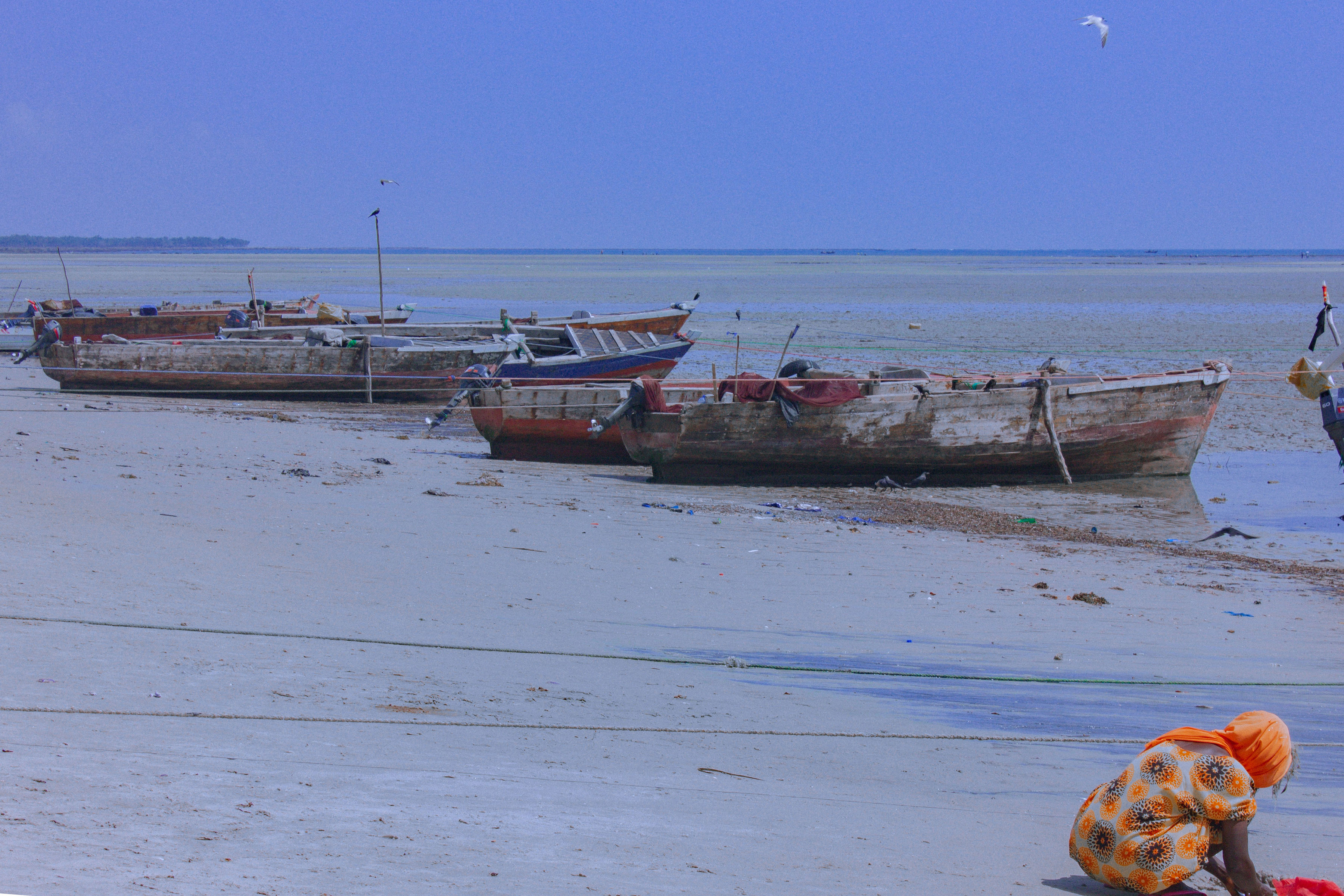 Tanzania Coastal Experience